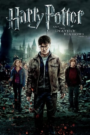 Harry Potter and the Deathly Hallows 2011 – Part 2 Hindi Dubbed [1.0GB] Download