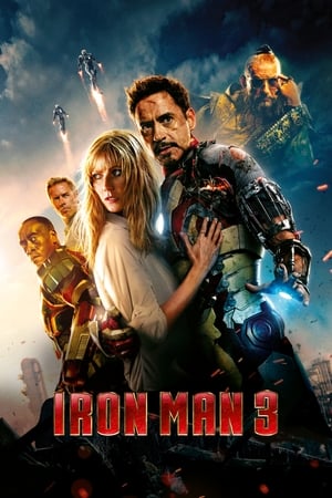 Iron Man 3 (2013) Hindi Dual Audio 300MB