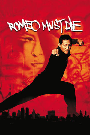 Romeo Must Die (2000) 100mb Hindi Dual Audio movie Download