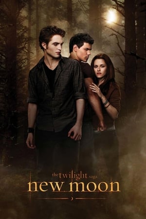 The Twilight Saga New Moon (2009) Hindi Dual Audio [1.0GB] Download